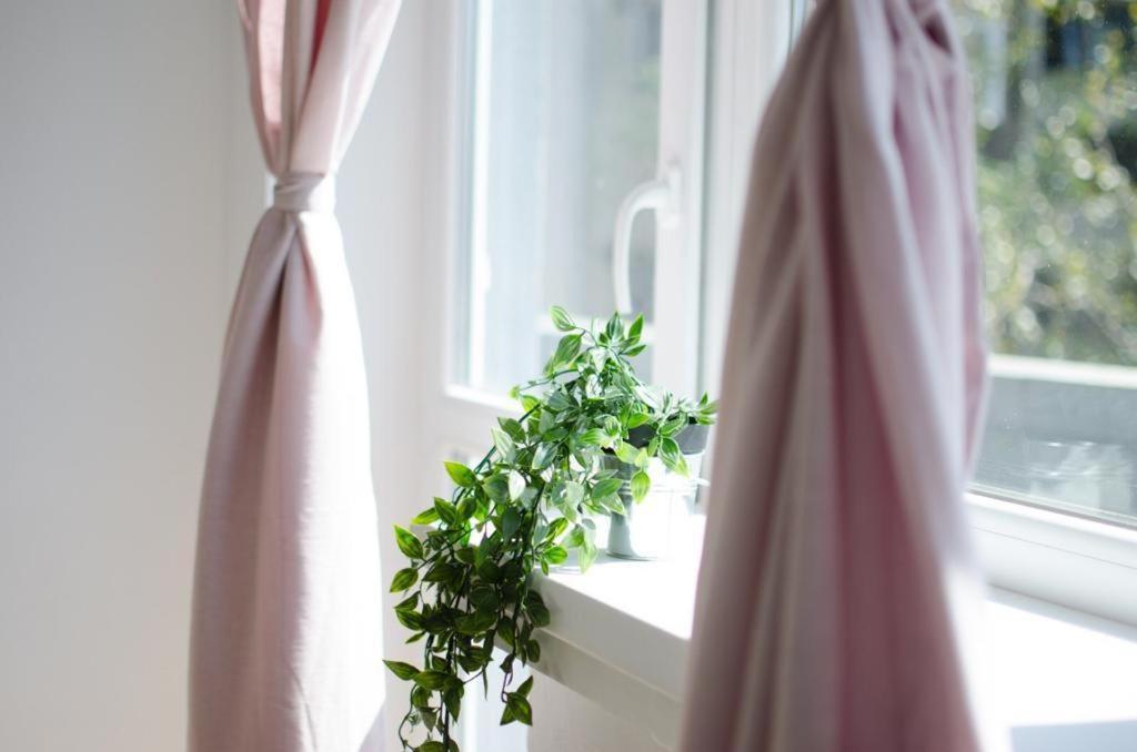 Bright Apartment Near Cismigiu And Old Town ブカレスト エクステリア 写真